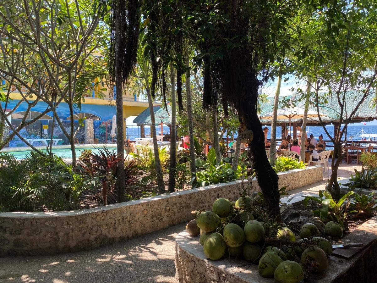 Marina Village Moalboal Exterior photo